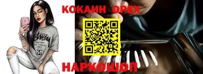 сатива Новодвинск