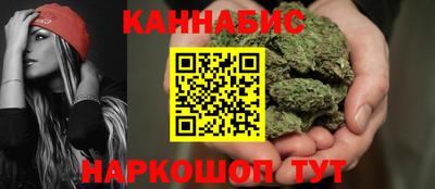 сатива Новодвинск