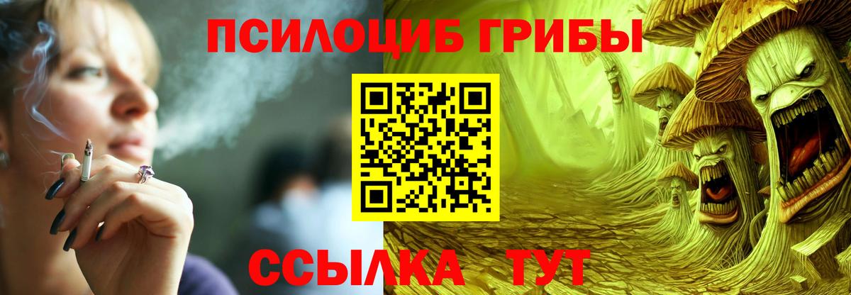 что такое наркотик  Псилоцибиновые грибы Cubensis  Вход с VPN  Псилоцибиновые грибы GOLDEN TEACHER  Сургут 